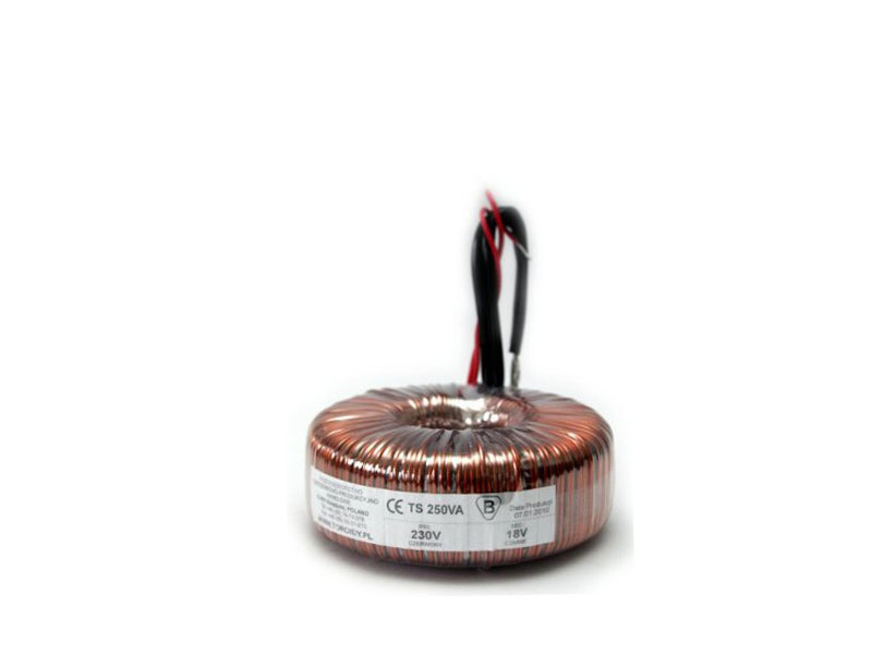 TTS0250 - Transformer TS250VA/230 - voltage to 50 V