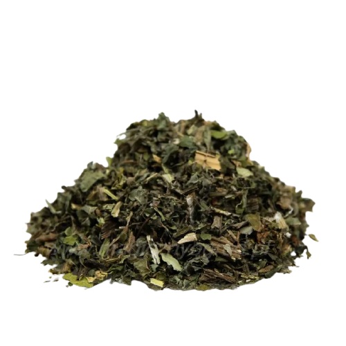 Czarcie żebro (ostrożeń warzywny)