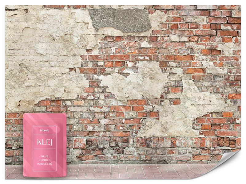 Fototapeta Muralo Ceglany Mur Abstrakcja Do Sypialni Nowoczesny 450x315 cm 1szt.