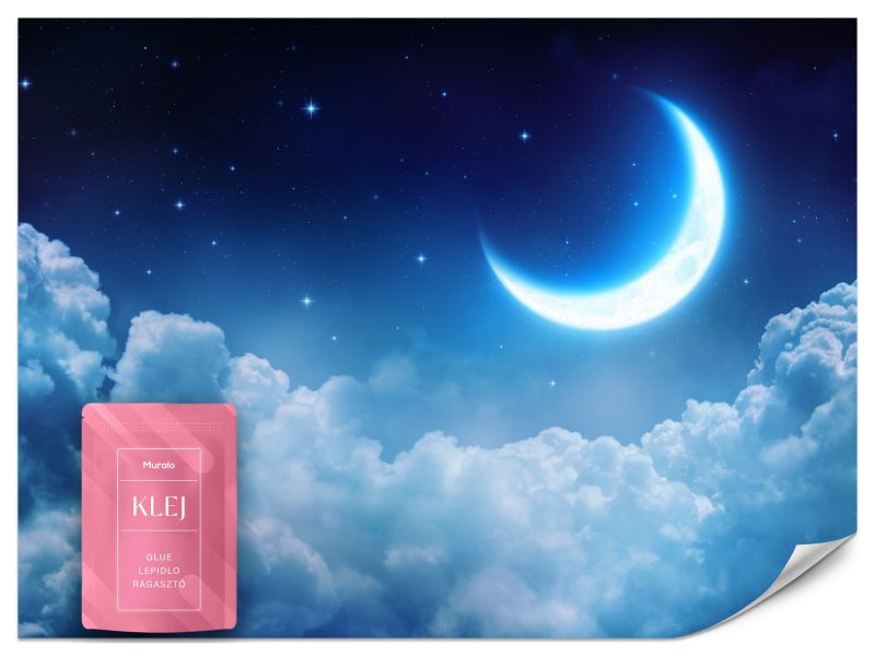 Fototapeta Muralo Bajkowy Księżyc Do Pokoju Dziecka 500x350 cm 1szt.