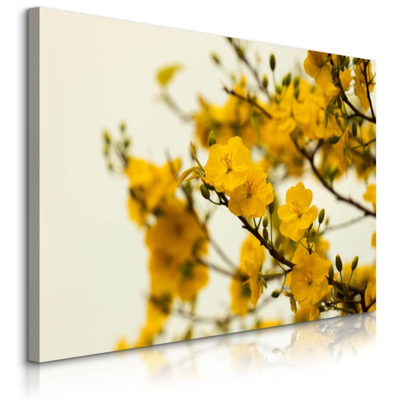 Obraz Muralo Na Płótnie Żółte Kwiaty Natura Przyroday 40x30 cm 1 szt.
