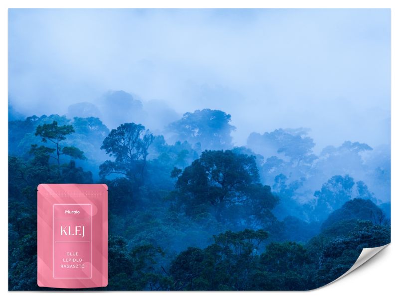 Fototapeta Muralo Las we Mgle Natura 500x350 cm 1szt.