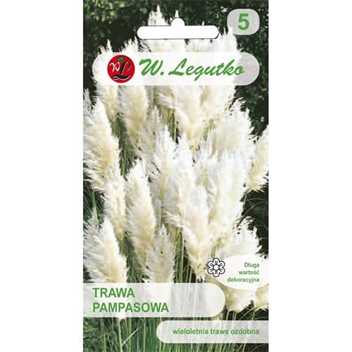 1 szt, Pampasgras weiss - Samen: Ilość w opakowaniu: 0.02 g