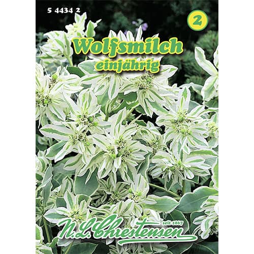 1 szt, Euphorbia Wolfsmilch - Samen: Ilość w opakowaniu: 1 Stück