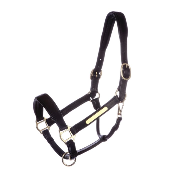 Kavalkade kantar skórzany Nordic 24h