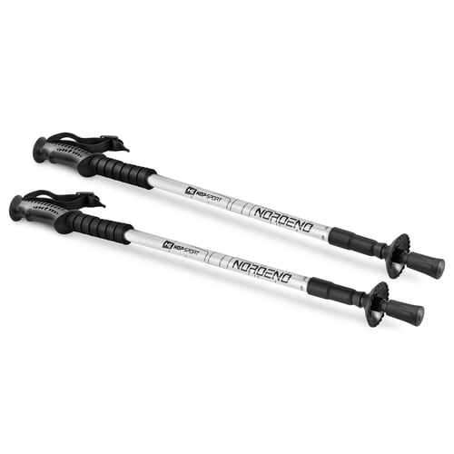 Kije trekkingowe Nordend srebrne