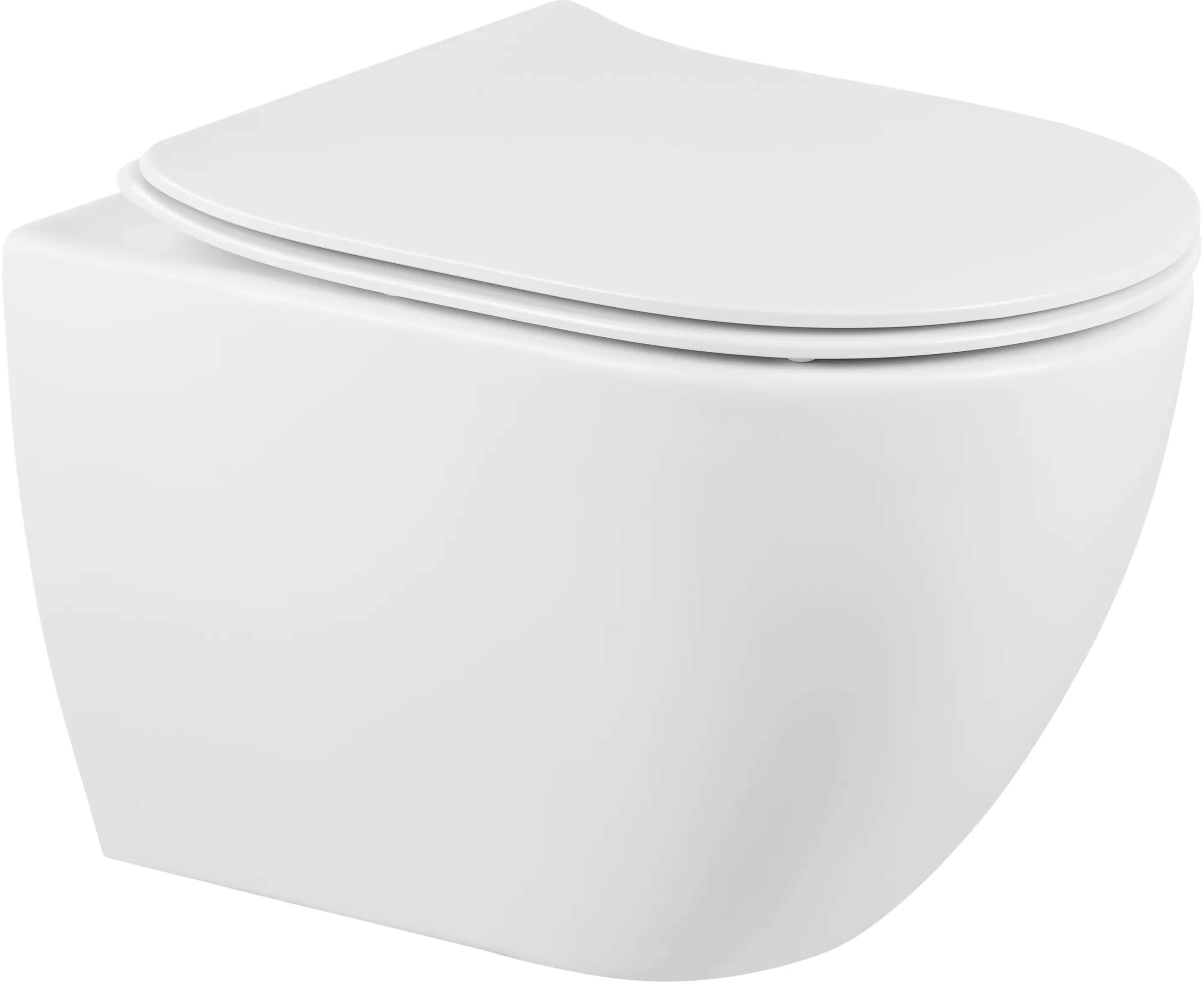 Darmowa Dostawa - Miska WC z deską wolnoopadającą wisząca bez kołnierza biały Sanindusa Sanibold 137938004