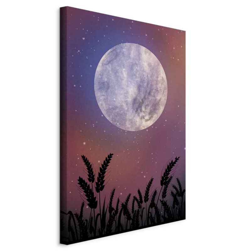 Obraz Artgeist Noc na wsi 20 x 30 cm flizelina 1 szt