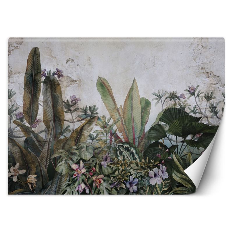 Fototapeta Feeby Liście monstera betonowa sciana 100x70 1 szt
