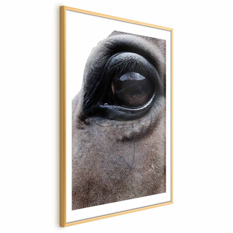 Plakat Artgeist Szczere oczy 21x30 cm z ramą złotą 1 szt