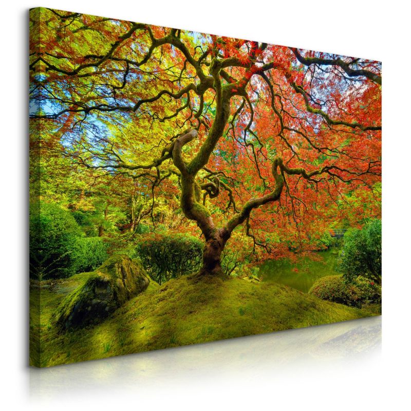 Obraz Muralo Na Płótnie Barwne Drzewo Przyroda Natura Do Salonu 40x30 cm 1 szt.