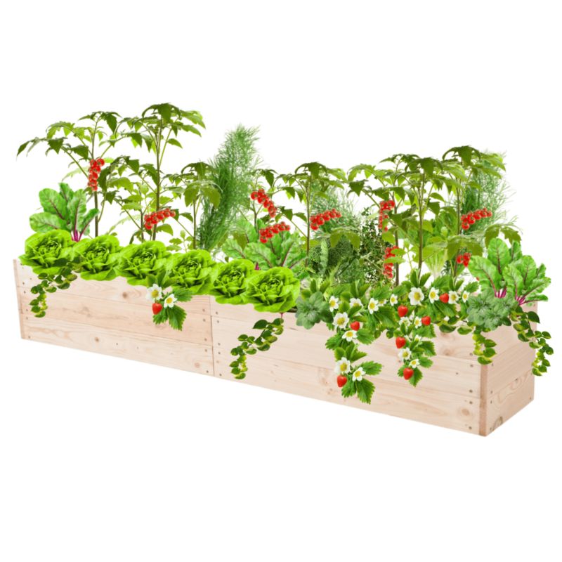 Grządka MODO24 warzywnik naturalne drewno 27x237x30 cm 1 szt.