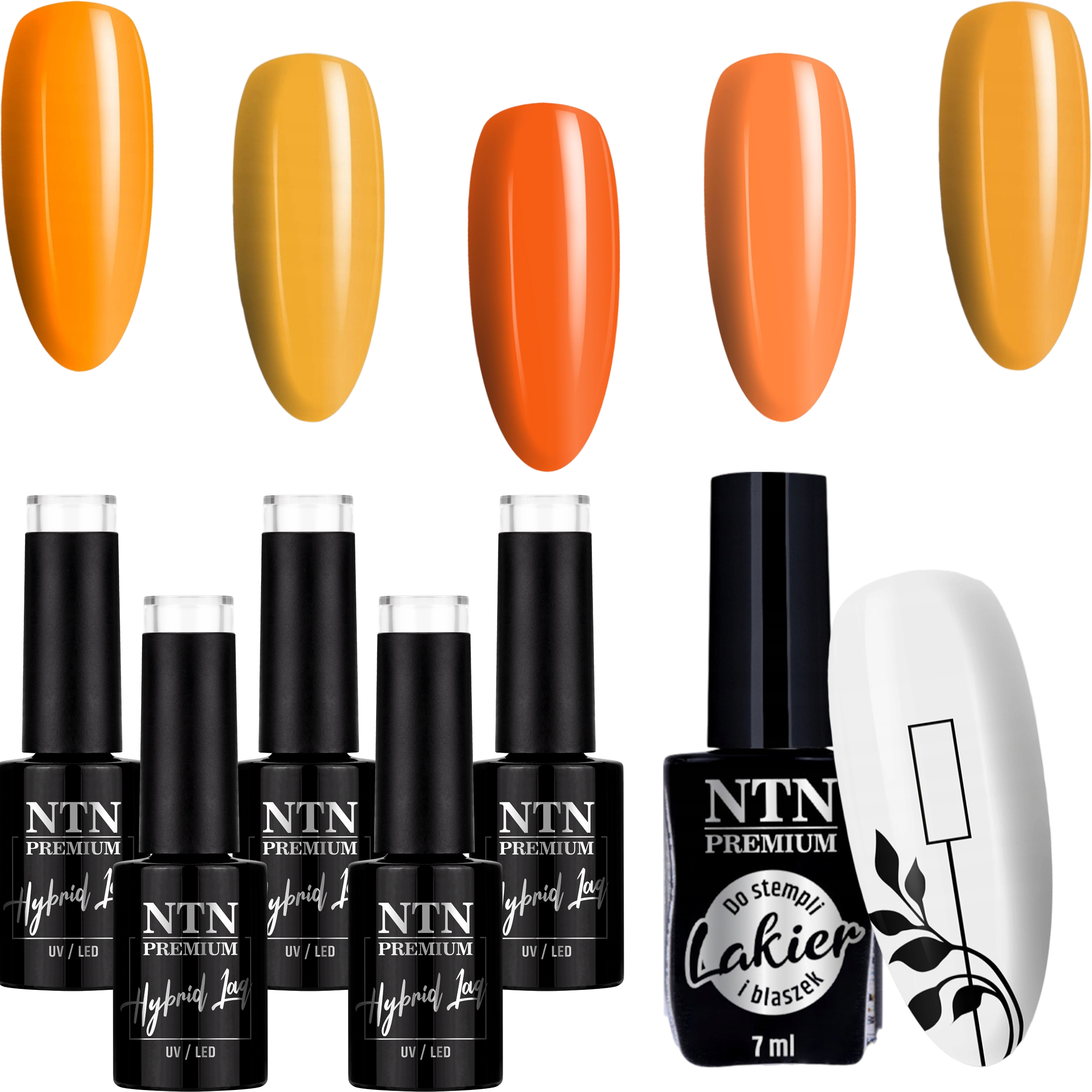 5x Lakier Hybrydowy NTN 5g Dyniowe Halloween Jesień + Lakier Do Stempli Czarny NTN