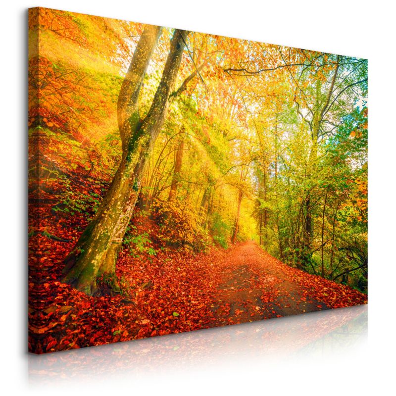 Obraz Muralo Na Płótnie Wielokolorowy Las Drzewa Natura Do Sypialni 40x30 cm 1 szt.