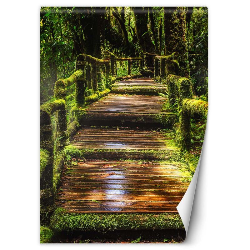 Fototapeta Feeby Mostek w zielonym lesie 150x210 1 szt