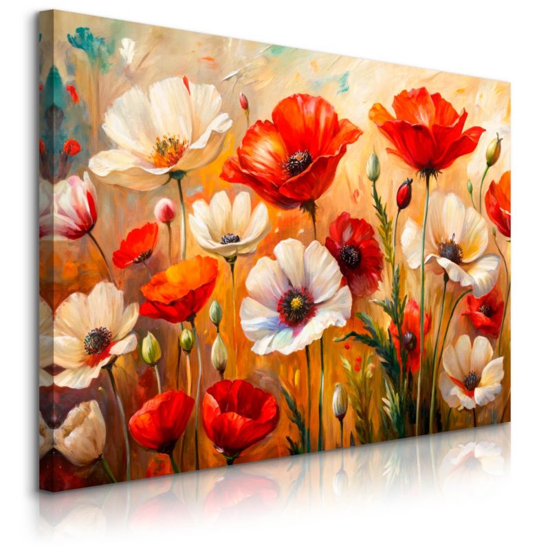 Obraz Muralo Na Płótnie Biało-Czerwone Tulipany Natura 40x30 cm 1 szt.