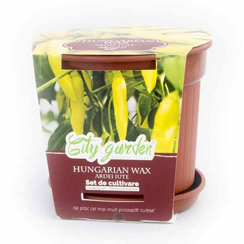 1 pac, Set de cultivare - Ardei iute Chilli Hungarian Wax - Semințe: Mod de ambalare: 1 pac