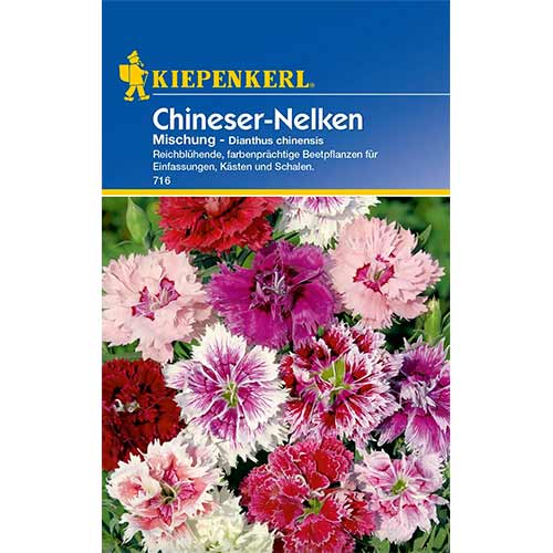 1 szt, Chineser - Nelken Mischung - Samen: Ilość w opakowaniu: 1 Stück