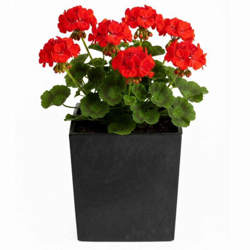 Donica ogrodowa Flore HowHomely imitacja czarnego betonu h30,5x29,5x29,5 cm 1 szt.