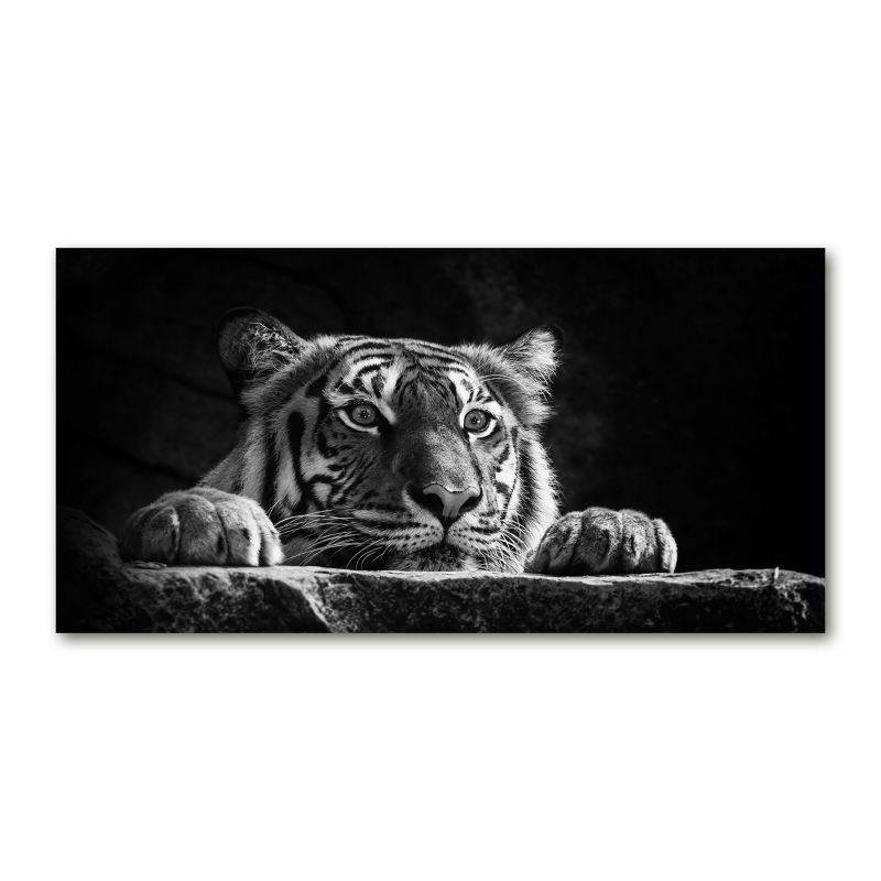 Obraz canvas Tulup Tygrys 100x50 cm 1 szt.