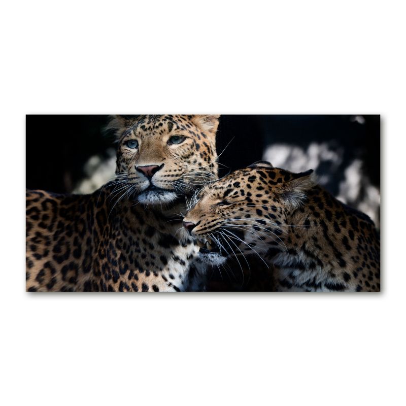 Obraz canvas Tulup Dwa lamparty 100x50 cm 1 szt.