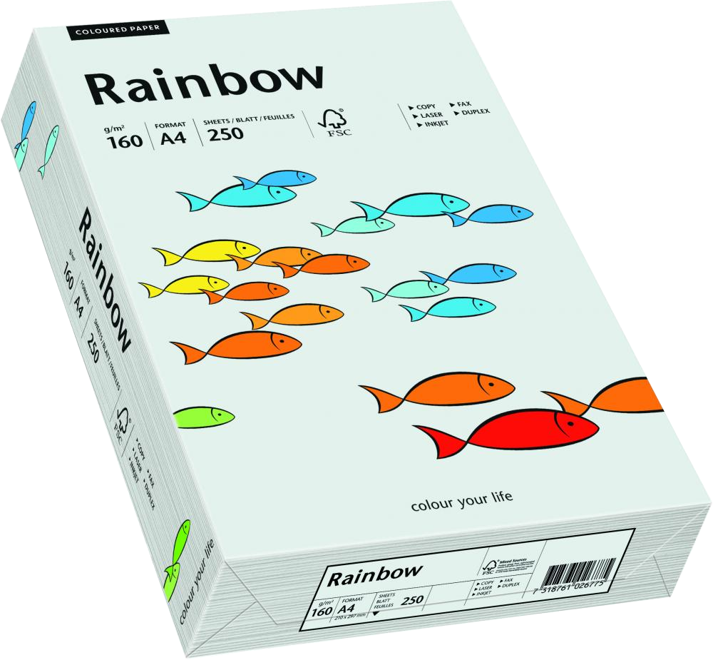 Papier kolorowy Rainbow, A4, 160g/m2, 250 arkuszy, jasny szary (R93)