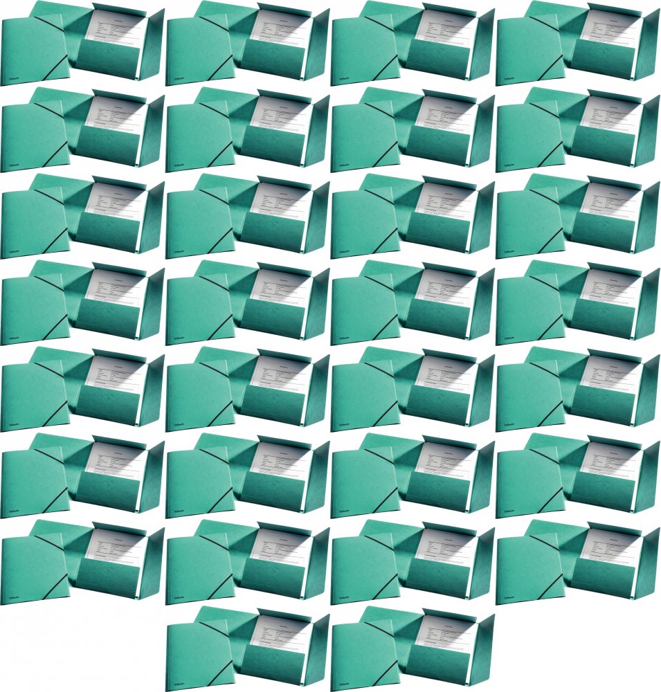 40x Teczka preszpanowa z narożną gumką Esselte, A4, 330g/m2, 4mm, zielony