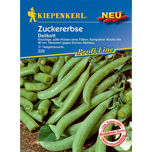 1 szt, Zuckererbse Delikata Kiepenkerl - Samen: Ilość w opakowaniu: 1 Stück