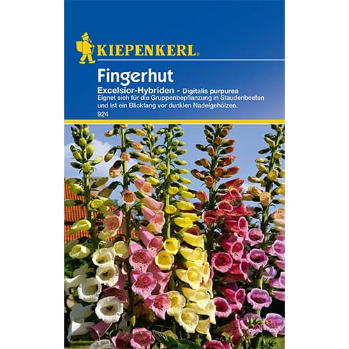 1 szt, Fingerhut Excelsior - Hybriden - Samen: Ilość w opakowaniu: 1 Stück
