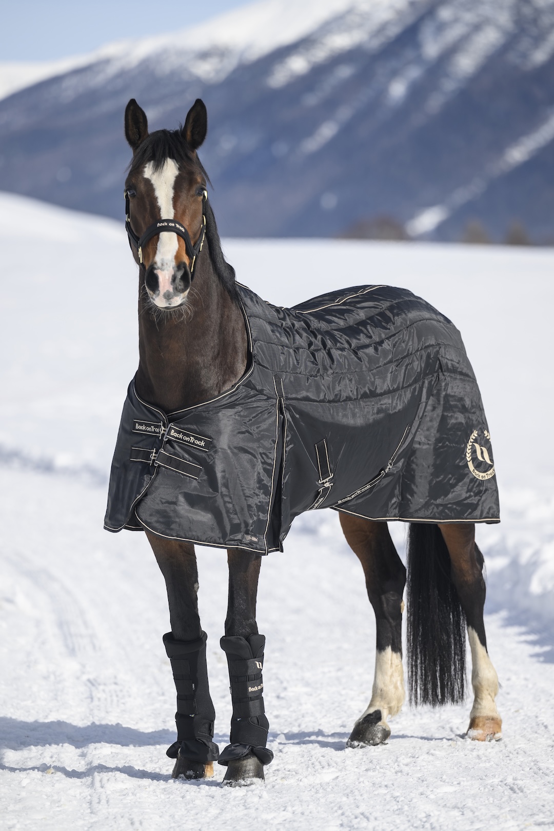 Back on Track derka stajenna Millie 200g