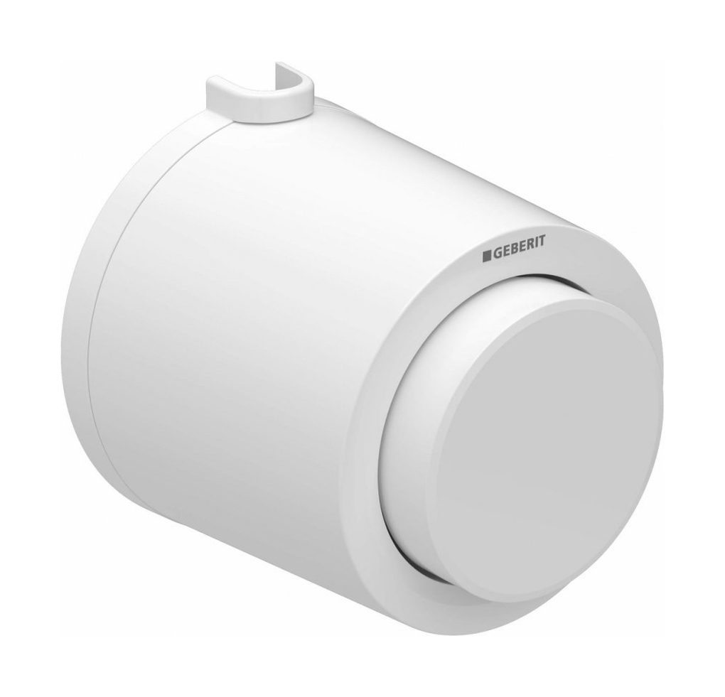 Geberit Typ 01 przycisk spłukujący do WC biały 116.046.11.1
