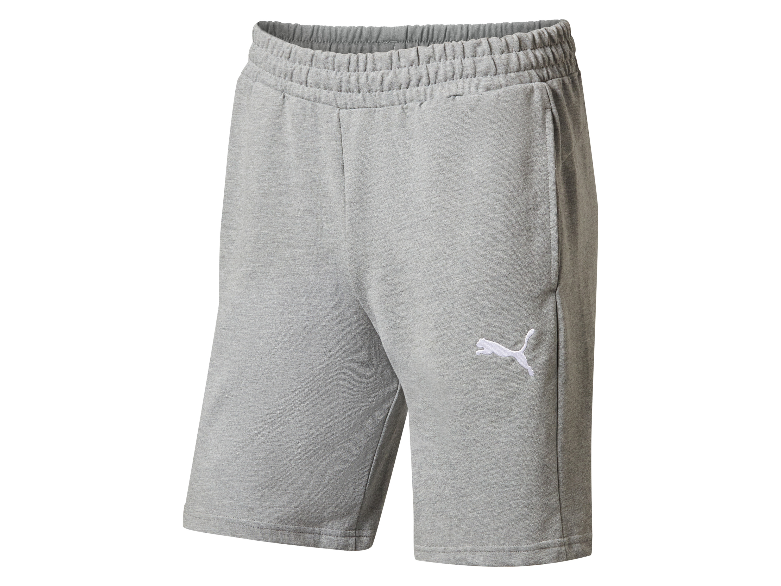 Puma Spodenki dresowe męskie TeamGOAL Casuals Szary, M