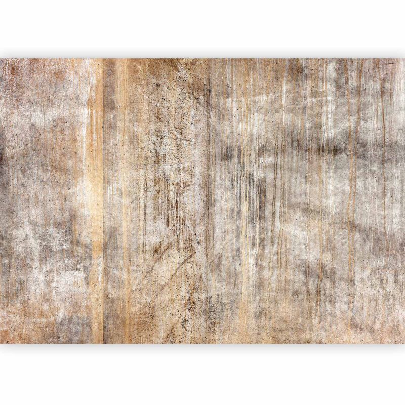 Fototapeta flizelinowa Artgeist 170 g/m2 wodoodporna Tła i desenie szara 400x280 (8 części) 10030aa rolka 1 szt