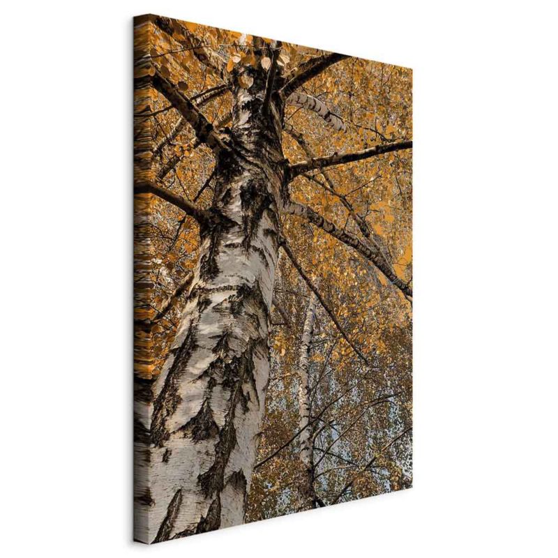 Obraz Artgeist Jesienna kolorystyka 40 x 60 cm płótno włoskie 1 szt