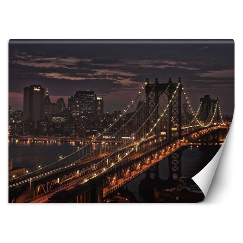 Fototapeta Feeby Most Nowy Jork 400x280 1 szt