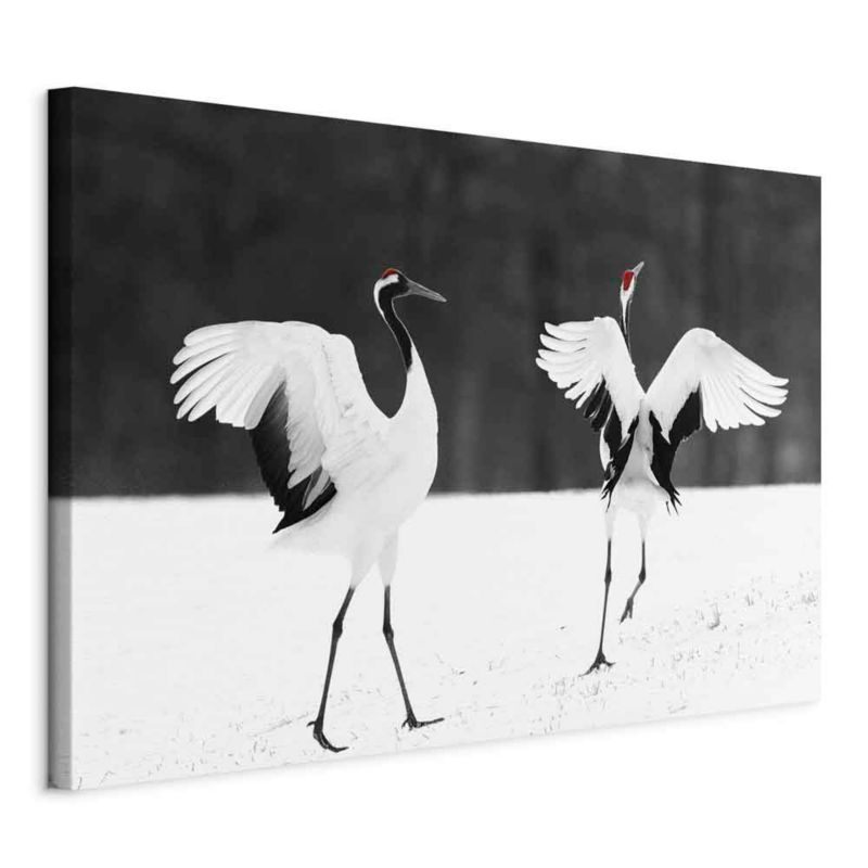 Obraz Artgeist Dancing cranes 120 x 80 cm płótno włoskie 1 szt