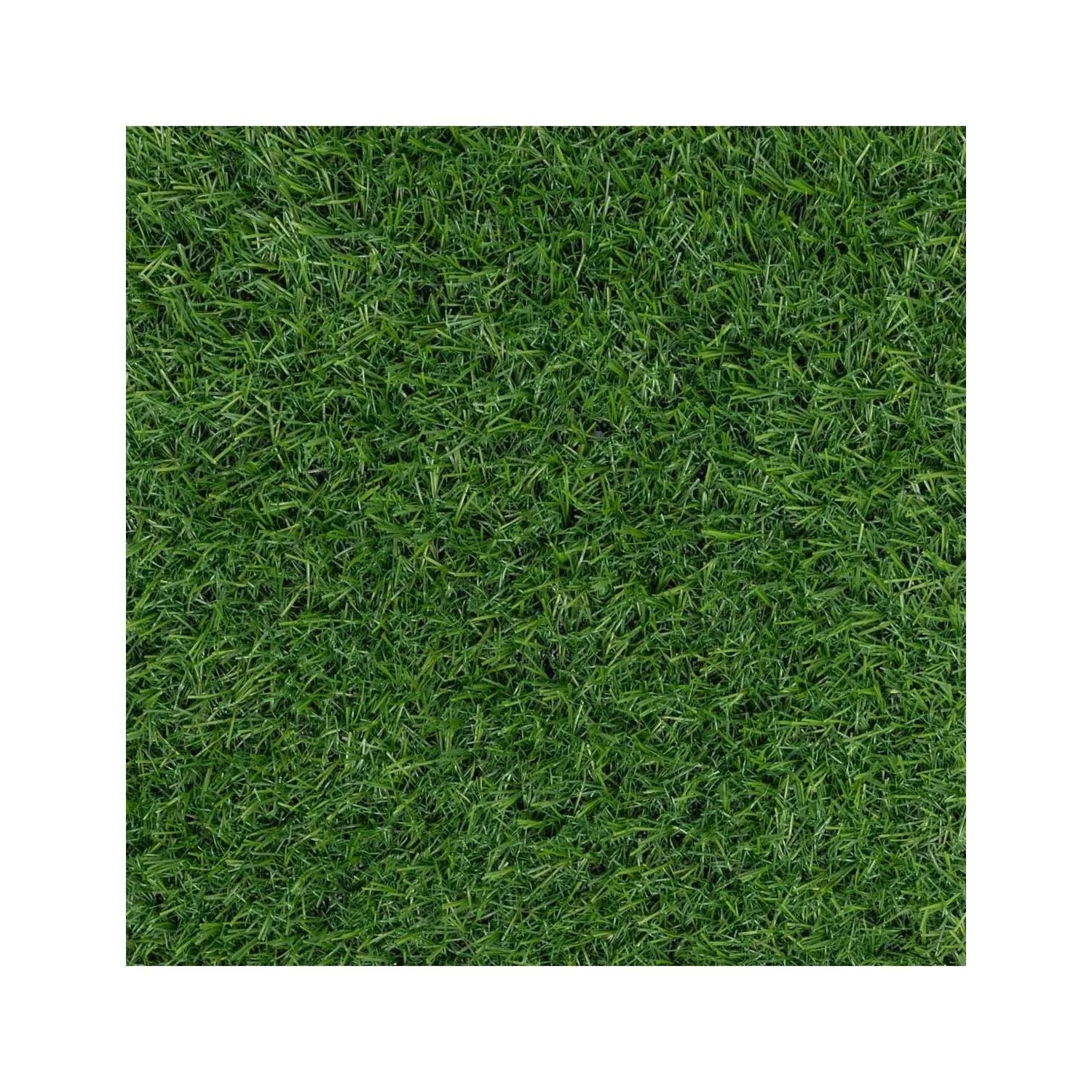 Multidecor Sztuczna trawa Sycylia w rolce 2x3 m wys. 15 mm