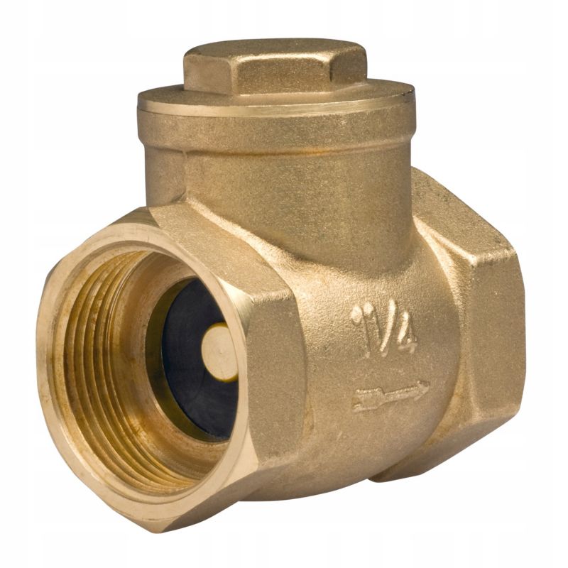 Zawór Ferro zwrotny klapowy 25.4 mm 1 szt.