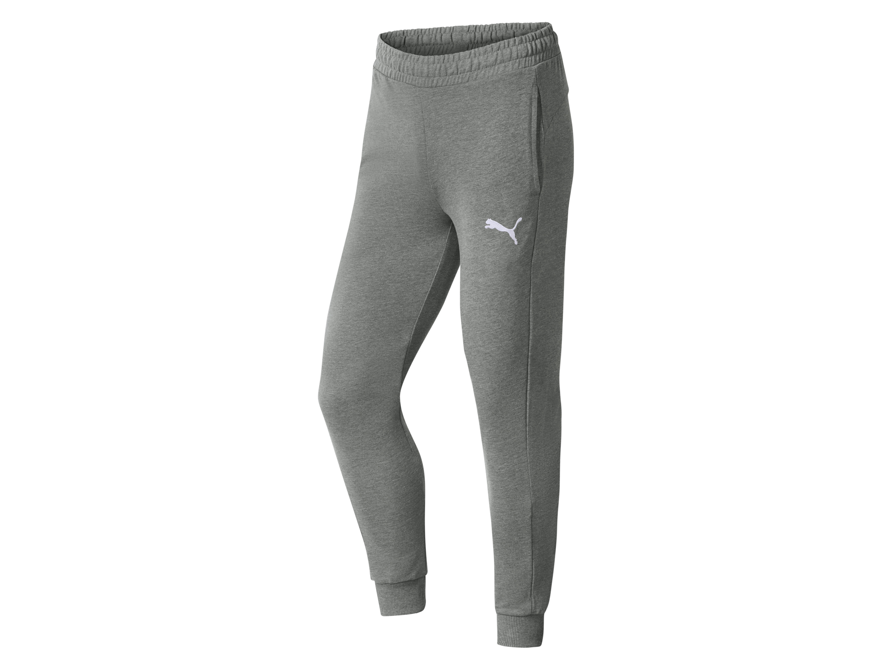 Puma Spodnie dresowe męskie teamGOAL 23 Casuals Szary, XXL 60/62