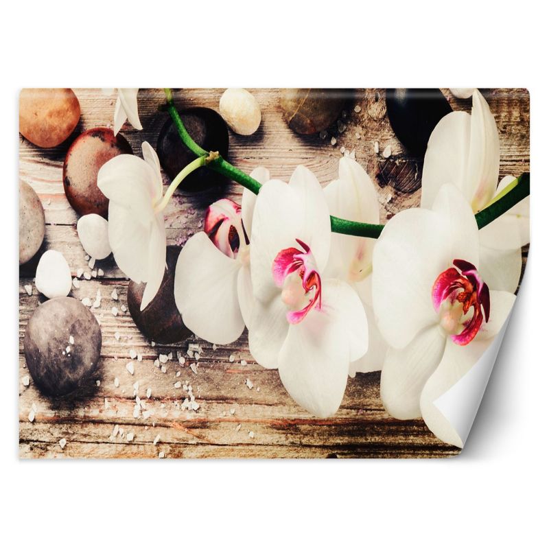Fototapeta Feeby Orchidea zen feng shui 400x280 1 szt