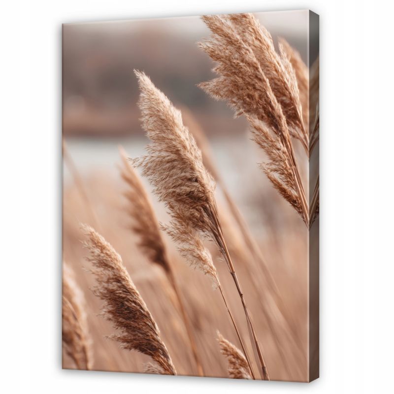 Obraz WALLARENA Do Sypialni Salonu Na Płótnie Trawa pampasowa Pejzaż Natura Brązowy 70x100 cm SPP16472O1 1 szt.