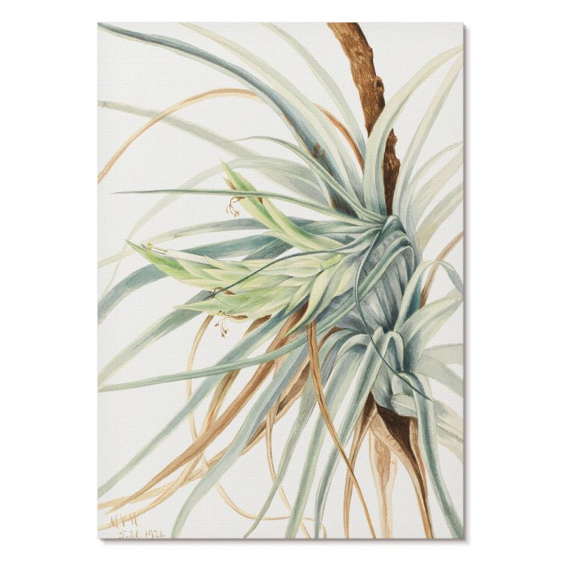 Plakat na Płótnie Tulup 21x29,7 cm (A4) Dziki ananas Do salonu, sypialni, kuchni 1 szt.