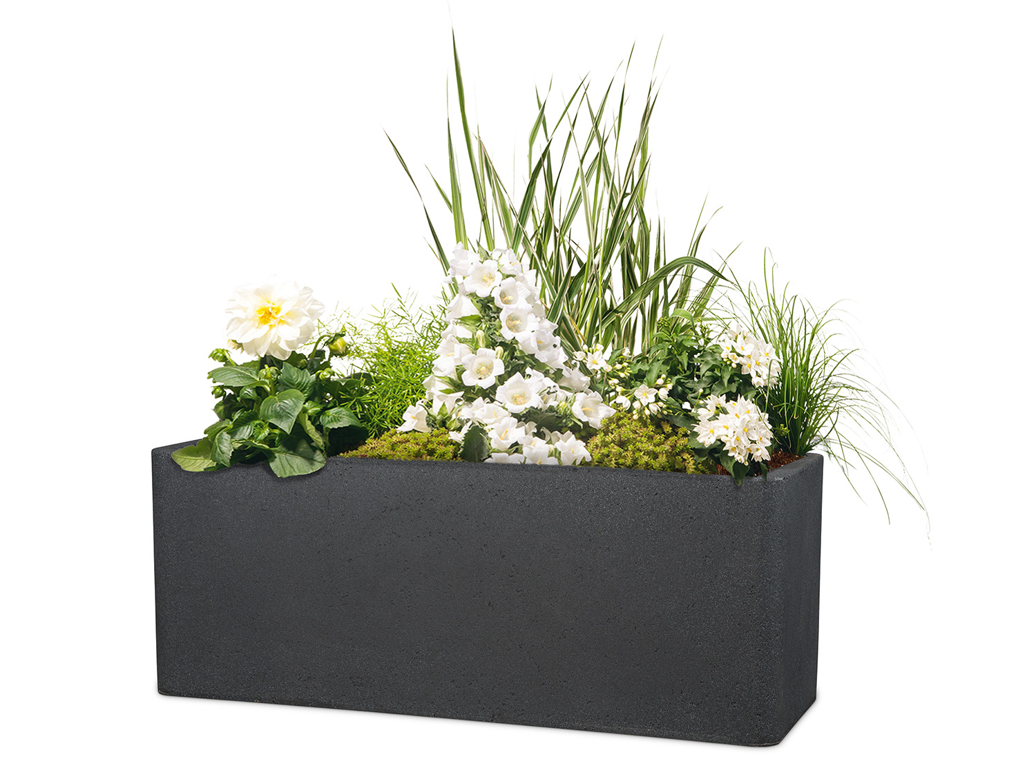 Scheurich Podłużna donica Cube Box Czarny granit, Dł. 60 cm
