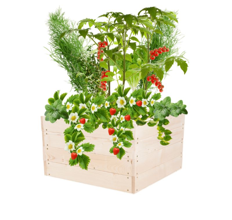 Warzywnik drewniany MODO24 grządka naturalne drewno 36x93x90 cm 1 szt.