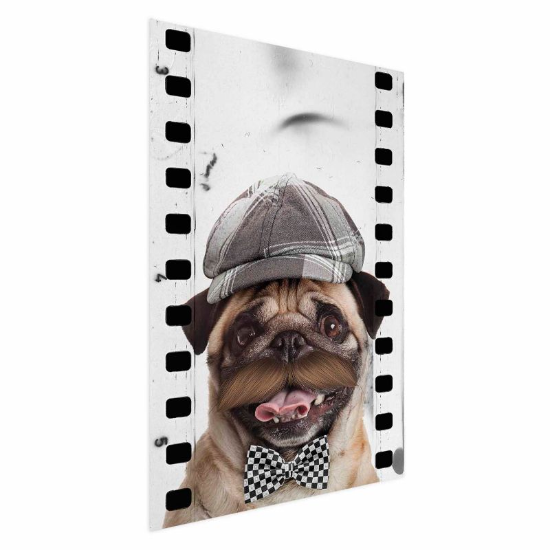 Plakat Artgeist Mops w czapce 60x90 cm bez ramy 1 szt