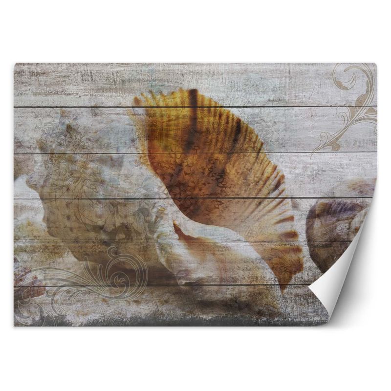 Fototapeta Feeby Muszle w stylu vintage 150x105 1 szt