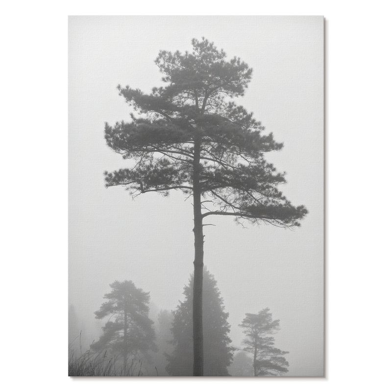 Plakat na Płótnie Tulup 42x59,4 cm (A2) Mgła i drzewa Do salonu, sypialni, biura 1 szt.