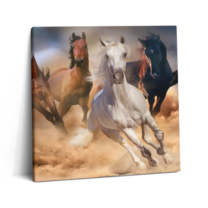 Obraz na płótnie Wallfluent 60x60 cm Pędzące konie w galopie 1 szt.