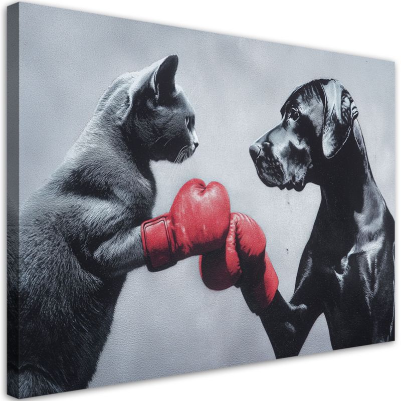 Obraz na płótnie Feeby Kot i Pies na ringu 90x60cm 1szt