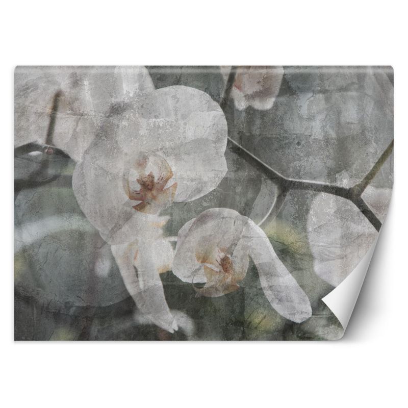 Fototapeta Feeby Orchidea vintage 350x245 1 szt